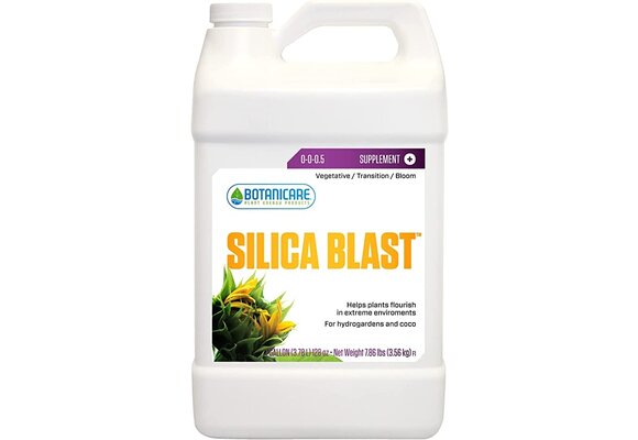Silica Blast 1 gallon