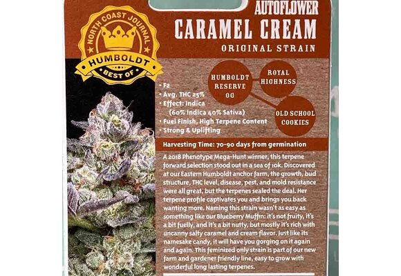 Humboldt Autoflower Carmel cream 5 seed pack