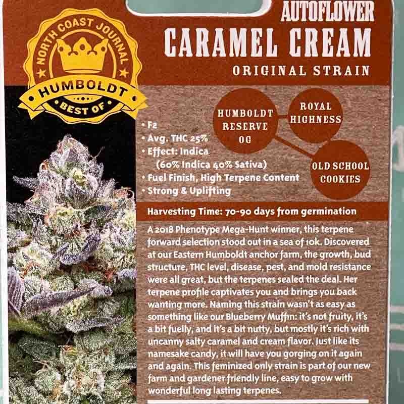Humboldt Autoflower Carmel cream