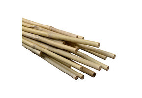 6” bamboo stake each