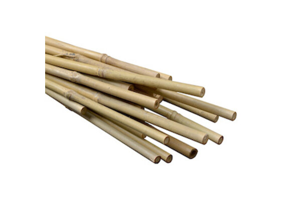 6” bamboo stake each