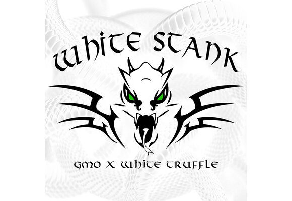 Elev8 White Stank 6pk fem