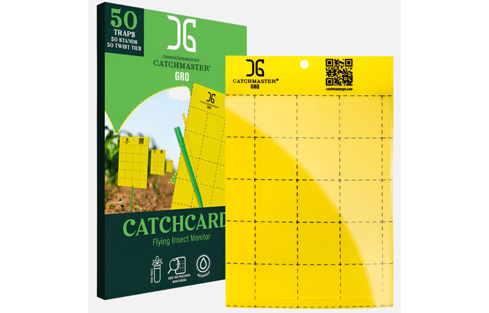 Catchmaster yellow sticky card traps