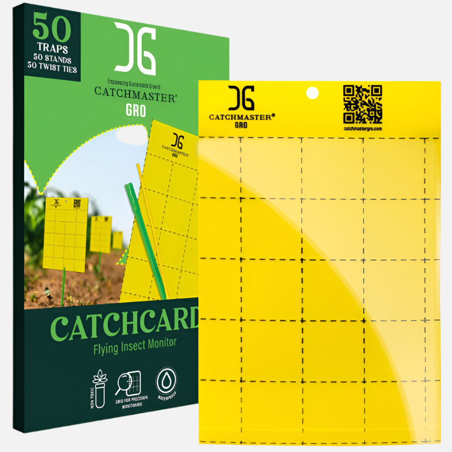 Catchmaster yellow sticky card traps