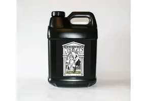 Nectar for the gods Athena’s Amina’s 2.5 gallons