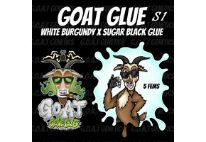 GOAT glue s1 5 fems
