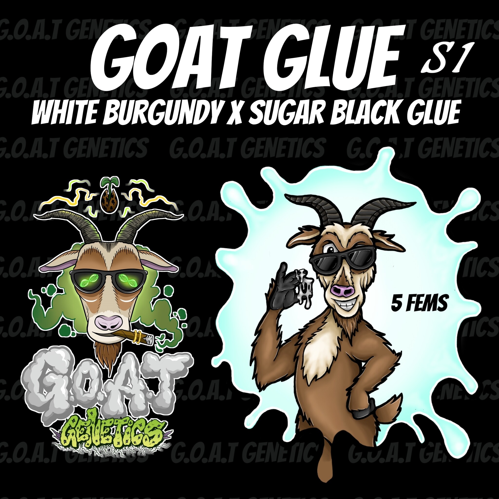 GOAT glue s1 5 fems