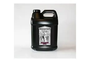 Nectar for the gods Persephones palate 2.5 gallons