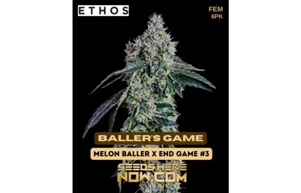 Ethos baller’s game 6 pack