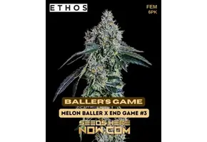 Ethos baller’s game 6 pack