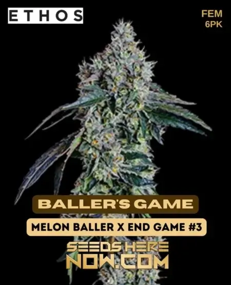 Ethos baller’s game 6 pack