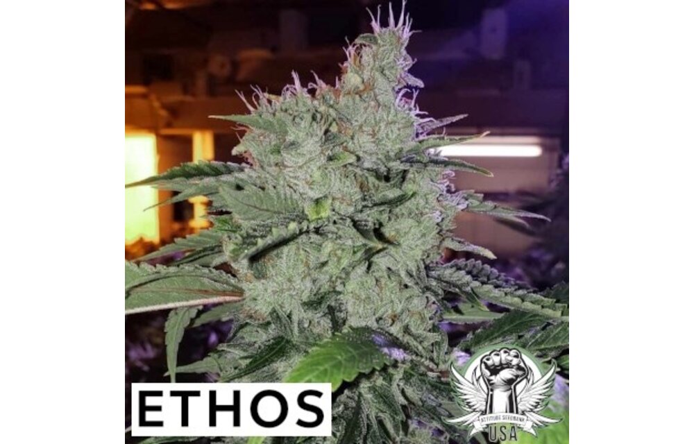 Ethos chem funk R1