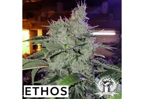 Ethos chem funk R1