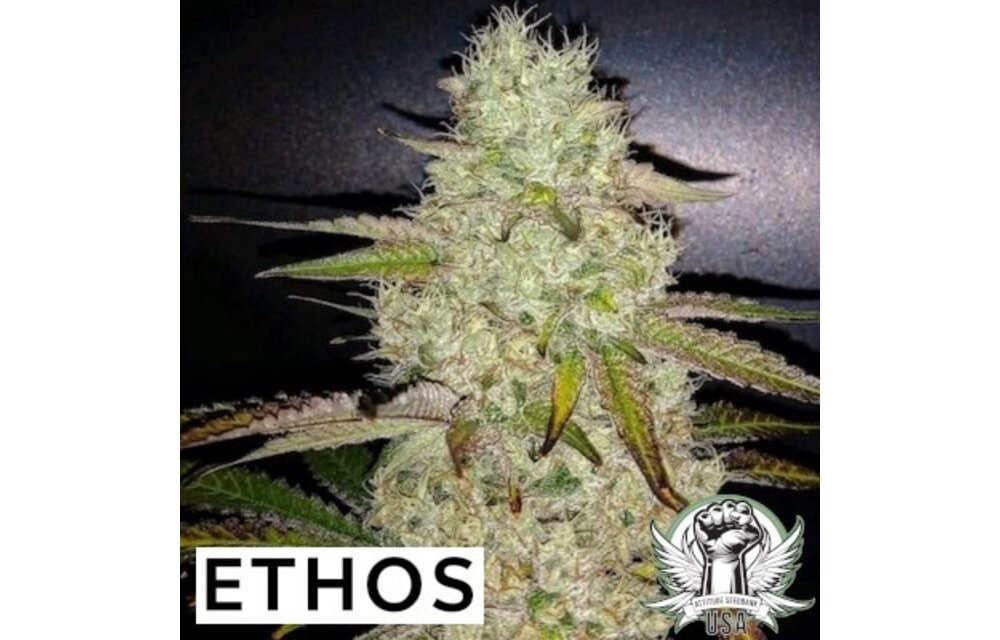 Ethos toasted R1
