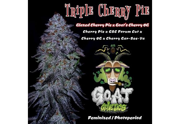 G.o.a.t Goat triple cherry pie