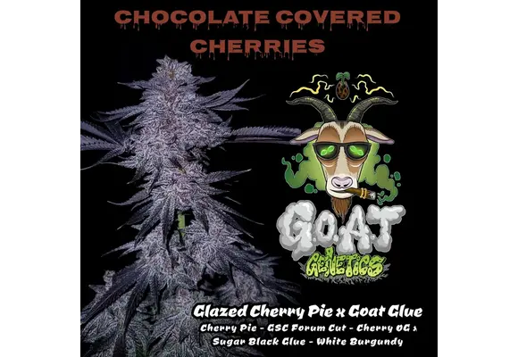 G.o.a.t. Goat chocolate covered cherries