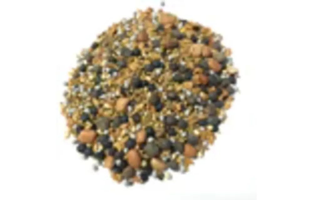BAS clover cover 12 seed 1lb