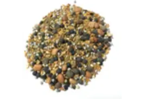 BAS 12 seed clover cover crop 1lb