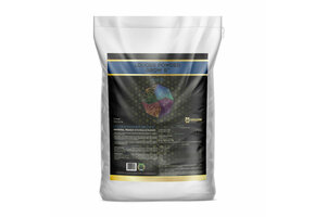 Louder powder grow B 5lbs