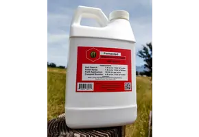 Fire ferments watermelon half gallons