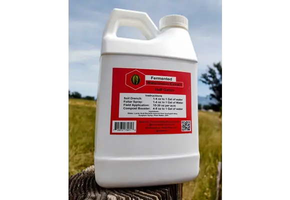 Fire ferments watermelon half gallons