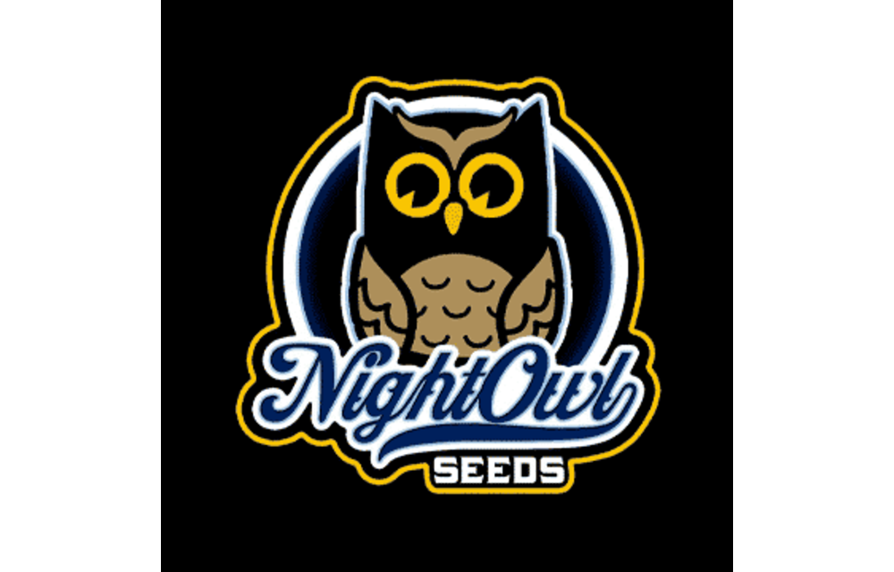 Night Owl Seeds Chem ‘n’ kush