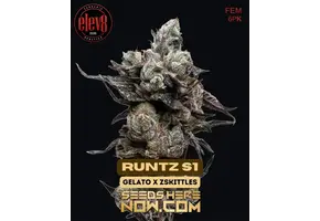 Elev8 runtz