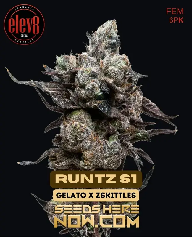 Elev8 runtz