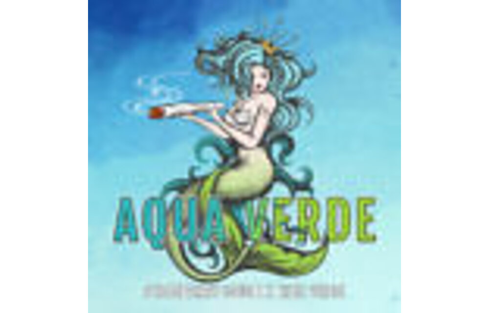 Elev8 Aqua verde