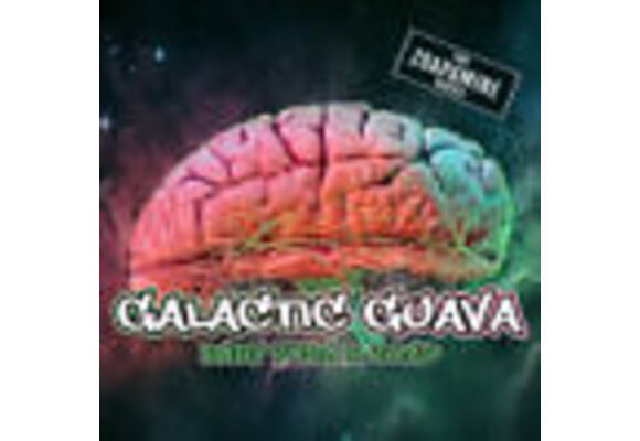 Elev8 galactic guava
