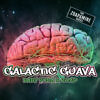 Elev8 galactic guava