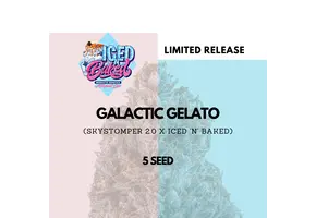 Mephisto Genetics Galactic Gelato