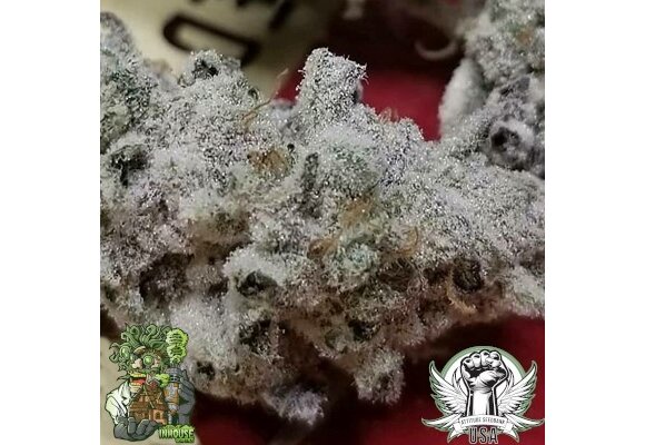 In-House Genetics Slurricane #7 s1