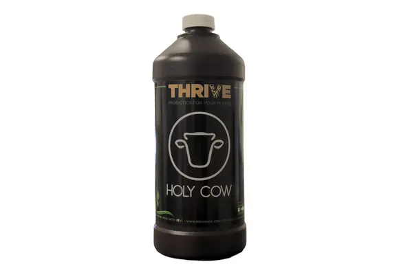 B.A.S.  Holy cow quart