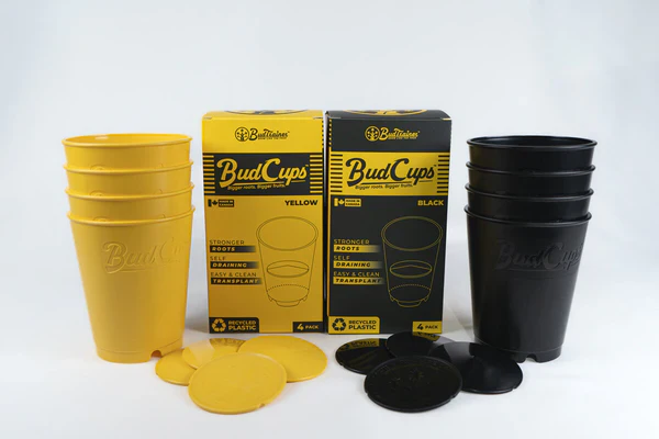 Bud cups yellow or black