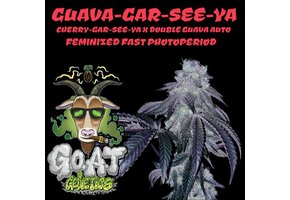 G.O.A.T guava-gar-see-ya