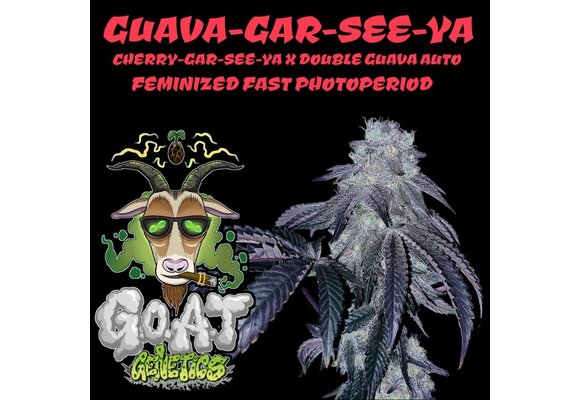 G.O.A.T guava-gar-see-ya