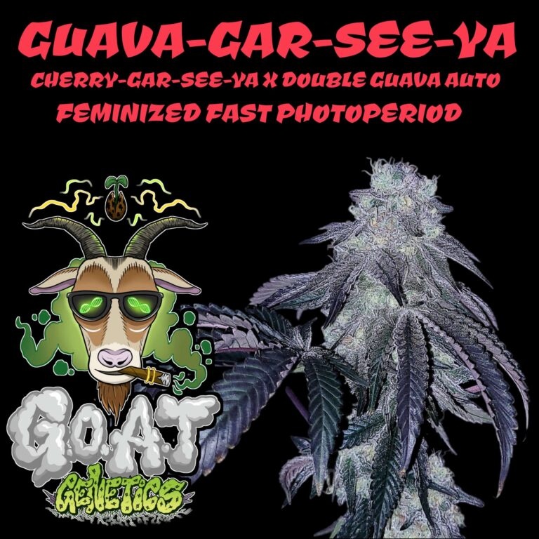 G.O.A.T guava-gar-see-ya