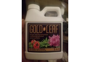Gold Leaf 500 ml