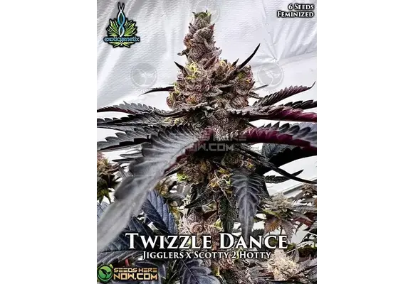Exotic Genetics Twizzle Dance