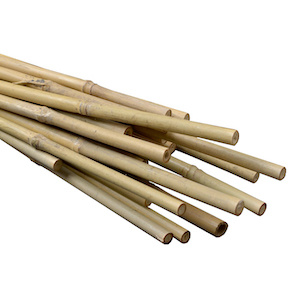 4” bamboo stake each