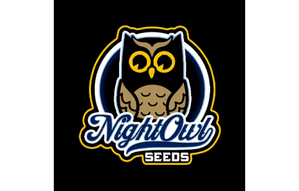 Night Owl Seeds Alchemist Apprentice