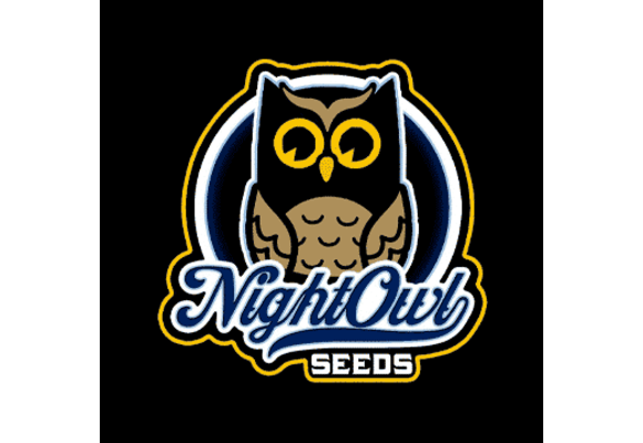 Night Owl Seeds Alchemist Apprentice