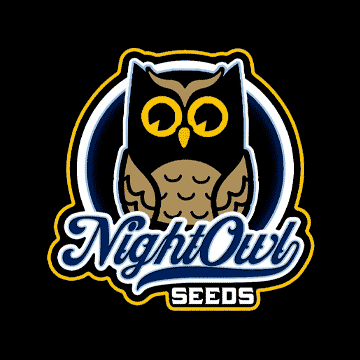 Night Owl Seeds Alchemist Apprentice