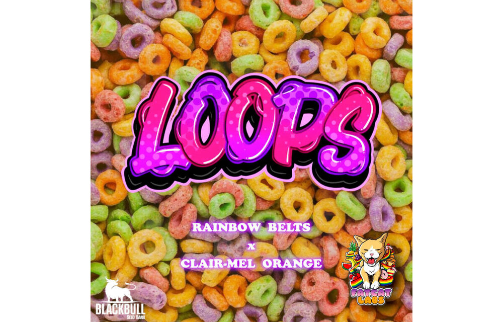 Fat Cat Labs Loops