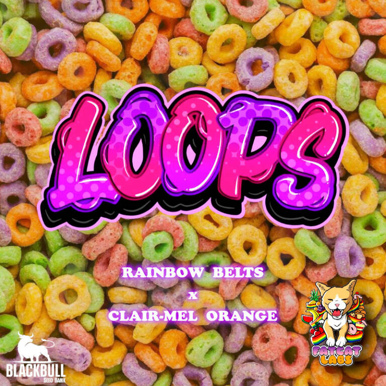 Fat Cat Labs Loops