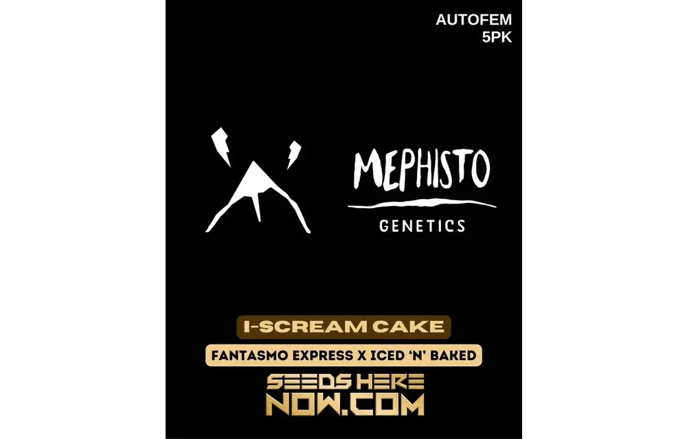 Mephisot Ice cream cake