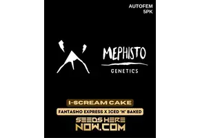 Mephisot Ice cream cake
