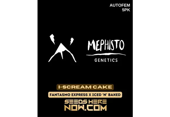 Mephisot Ice cream cake