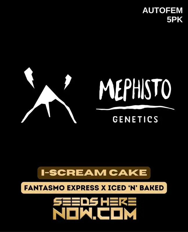 Mephisot Ice cream cake